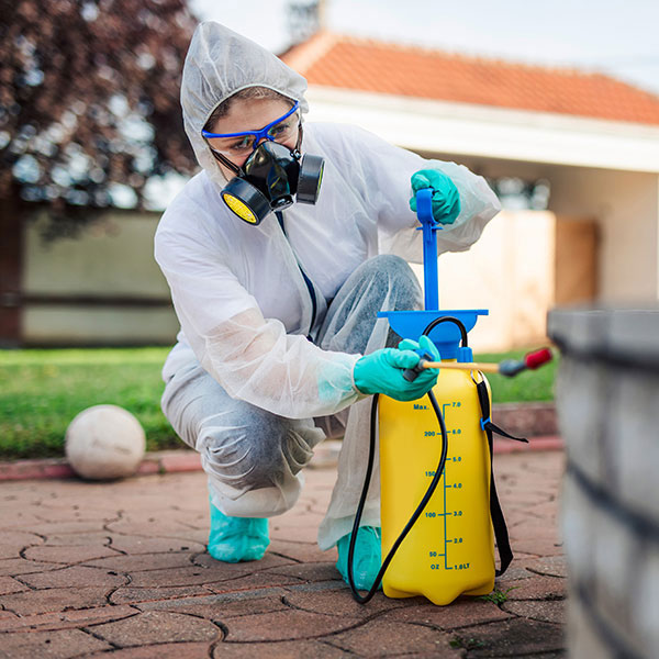 Pest controller spraying the side of a commercial building to manage pest issues.